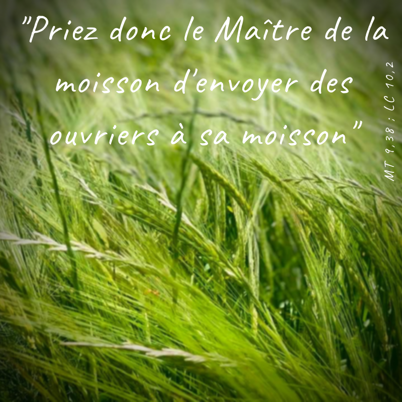 Photo de champs de blé avec la prière des Moisson